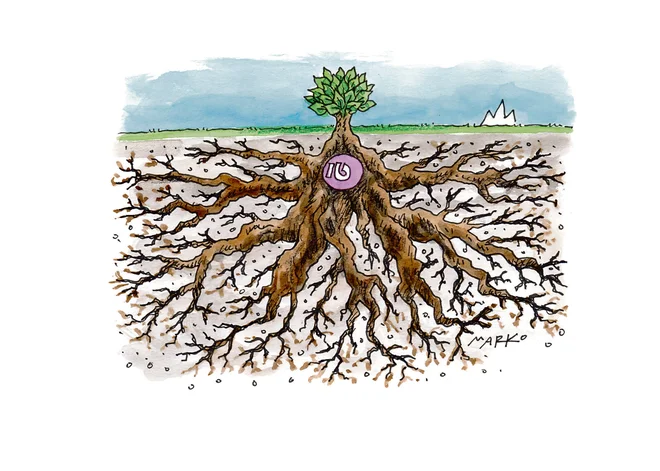 Karikatura: Marko Kočevar