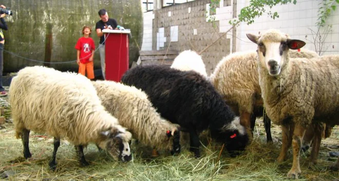 Siniša Labrović: Čreda.org resničnostni šov, 2005 Foto Arhiv Mg