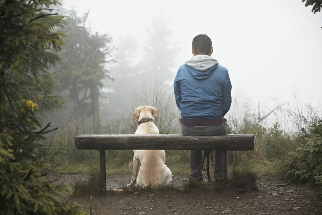 V sredo se nam obeta ohladitev. FOTO: Shutterstock
