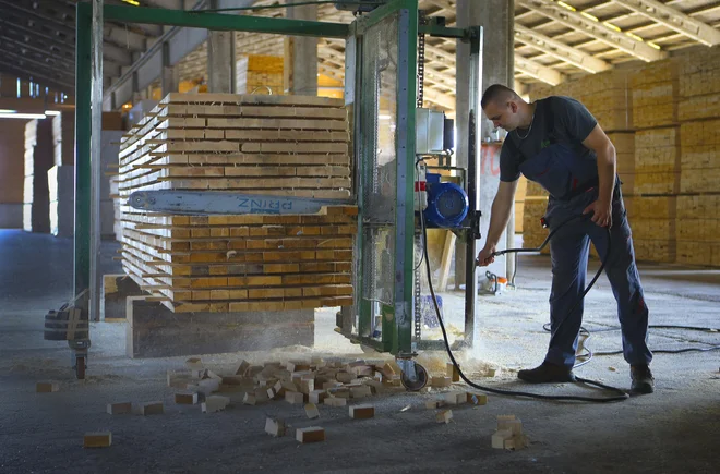 Veliko ročnega dela bo v podjetju Solis Straža z avtomatizacijo odpadlo. FOTO: Jože Suhadolnik/Delo