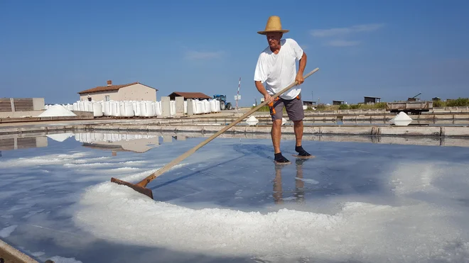 Osman Dedić pravi, da bi že prej pustil gradbeništvo, če bi vedel, kako blagodejno nanj vpliva solinarski poklic. In upa, da bo lahko delal tudi, ko bo v pokoju. FOTO: Boris Šuligoj