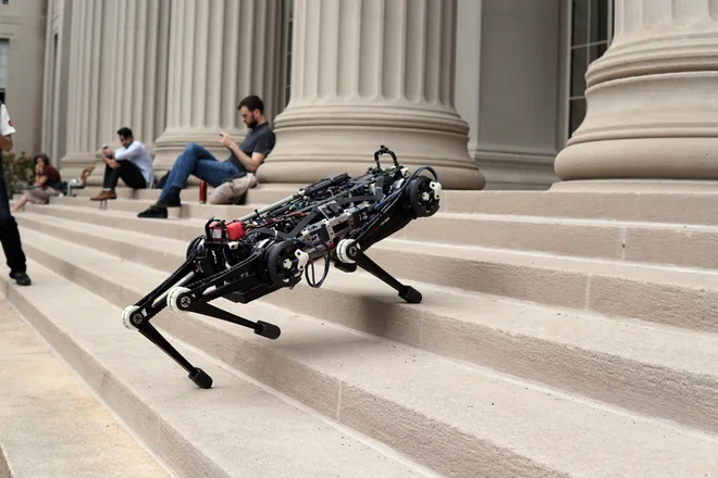 Robot gepard. Foto Mit