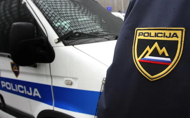 V iskalni akciji je od torka do danes sodelovalo večje število ljudi, tako iz poklicnih kot prostovoljnih služb. FOTO: Ljubo Vukelič