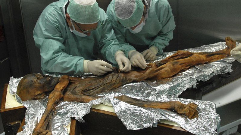 Fotografija: Čeprav so ledeno mumijo našli že leta 1991, imajo znanstveniki z Ötzijem še vedno veliko dela. FOTO: AP