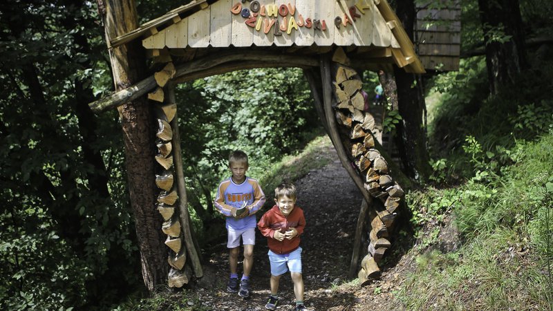 Fotografija: Erik in Nejc sta nam več kot zgovorno prikazala, kako odkrivati skrivnosti doživljajskega parka.
FOTO Jože suhadolnik