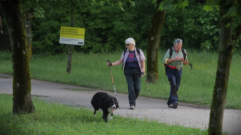 Fotografija: V starostni skupini od 25 do 74 let se 6,6 odstotka prebivalstva zdravi zaradi sladkorne bolezni, v starostni skupini nad 65 le pa veliko več, 15 odstotkov. Tudi bolnikom, ki uživajo zdravila, zdravniki »predpišejo« gibanje in primerno prehrano.

FOTO Jože Suhadolnik