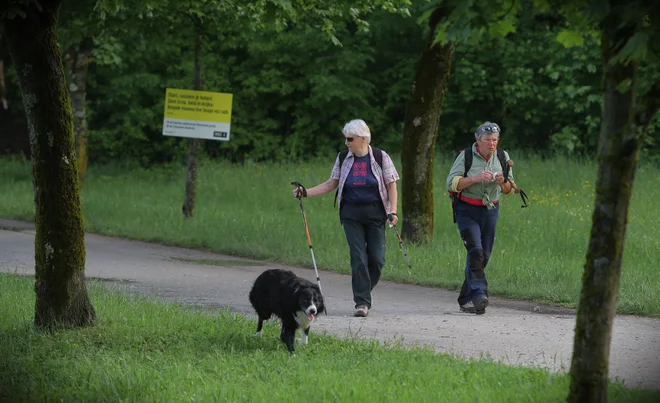V starostni skupini od 25 do 74 let se 6,6 odstotka prebivalstva zdravi zaradi sladkorne bolezni, v starostni skupini nad 65 le pa veliko več, 15 odstotkov. Tudi bolnikom, ki uživajo zdravila, zdravniki &raquo;predpišejo&laquo; gibanje in primerno prehrano.<br />
<br />
<em>FOTO</em> Jože Suhadolnik
