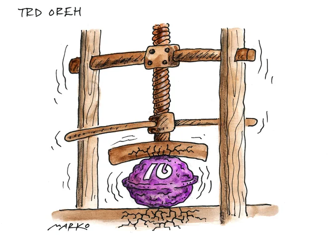 Trd oreh. KARIKATURA: Marko Kočevar