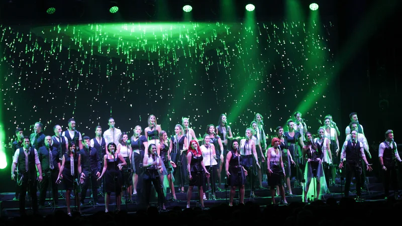 Fotografija: Perpetuum Jazzile močno vplivajo na delovanje drugih pevskih zborov. FOTO: Irena Herak