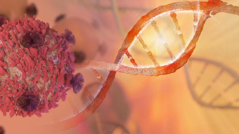 Fotografija: Ste za spreminjanje DNK pri zarodkih ali proti? FOTO: Getty Images/Istockphoto