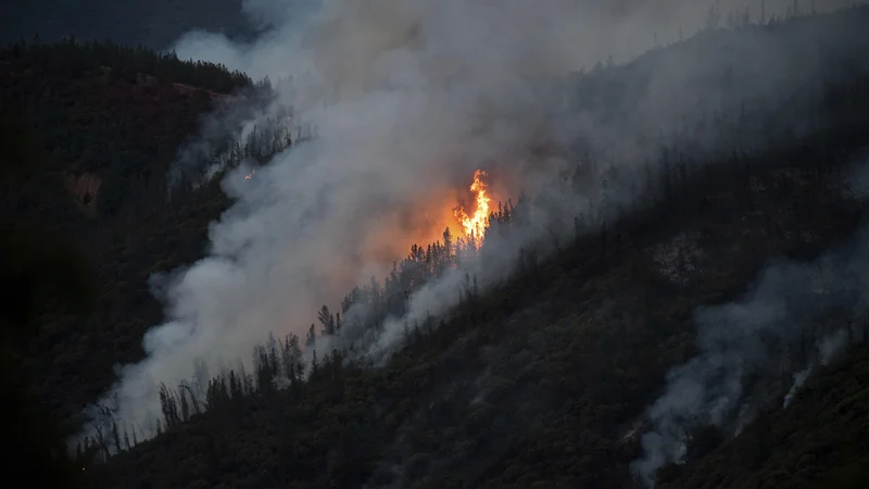 Fotografija: Zaradi suše in pomanjkanja padavin se države po svetu borijo z divjimi požari rekordnih razsežnosti. FOTO: Noah Berger/AP