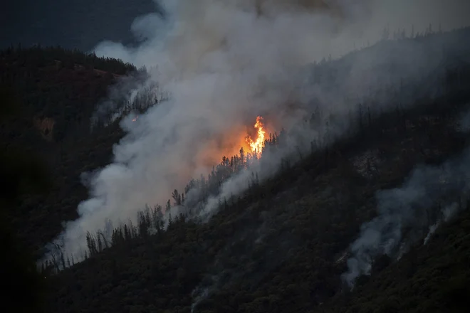 Zaradi suše in pomanjkanja padavin se države po svetu borijo z divjimi požari rekordnih razsežnosti. FOTO: Noah Berger/AP