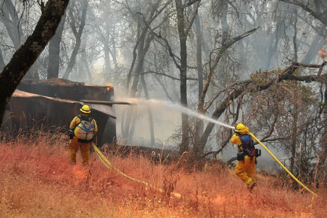 Guvernerka zvezne države Oregon Kate Brown je zaradi divjih požarov razglasila izredne razmere. FOTO: Elias Funez/AP