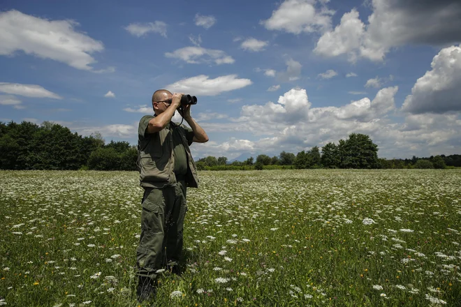 Andrej Lukanovič, lovski čuvaj iz Lovske družine Brezovica, medvede spremlja vsak dan. FOTO: Uroš Hočevar