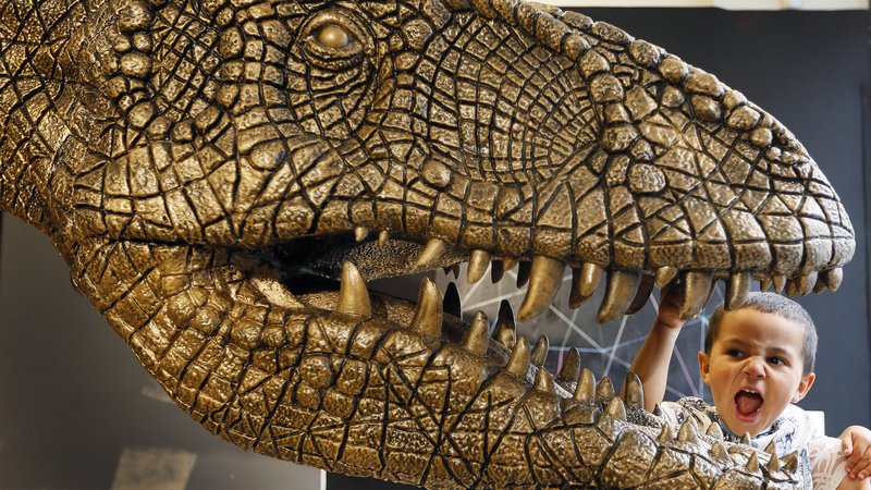 Fotografija: Po besedah soavtorice študije so v preteklosti napačno rekonstruirali podobo tiranozavrov kot bitij, ki jim iz strašnega gobca moli jezik. FOTO: Kirsty Wigglesworth/AP
