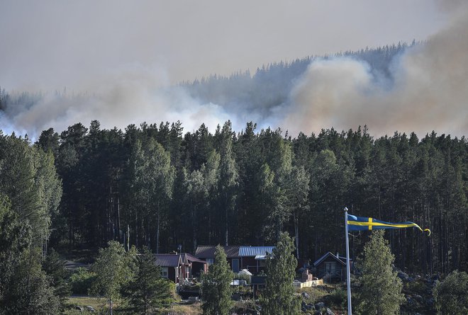 Na Švedskem divjajo številni gozdni požari, razmere pa bi se lahko konec tedna še zaostrile. FOTO: Maja Suslin/AP