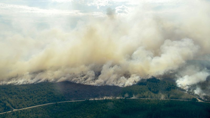 Fotografija: Število požarov na Švedskem je danes naraslo na več kot 60. FOTO: Maja Suslin/AP