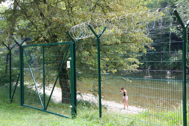 Kdo je na kateri strani ograje? FOTO: Simona Fajfar