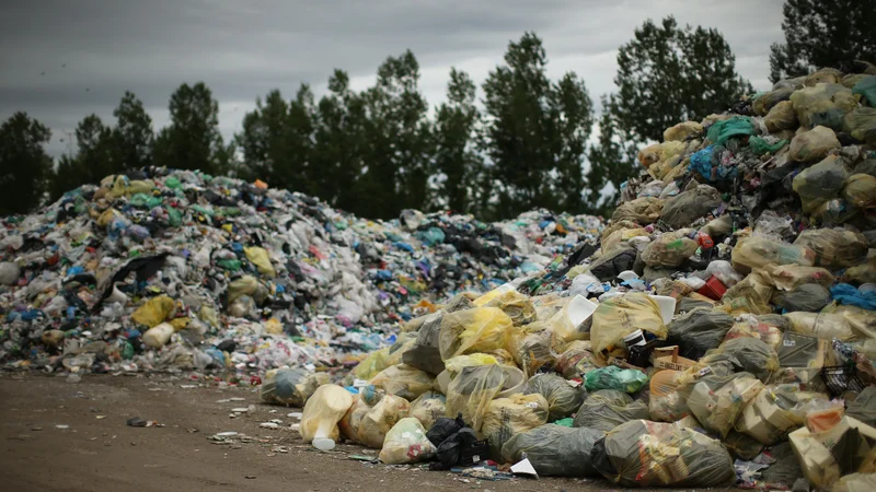 Fotografija: Med odpadki je končalo 35 odstotkov užitnega dela hrane. FOTO: Jure Eržen