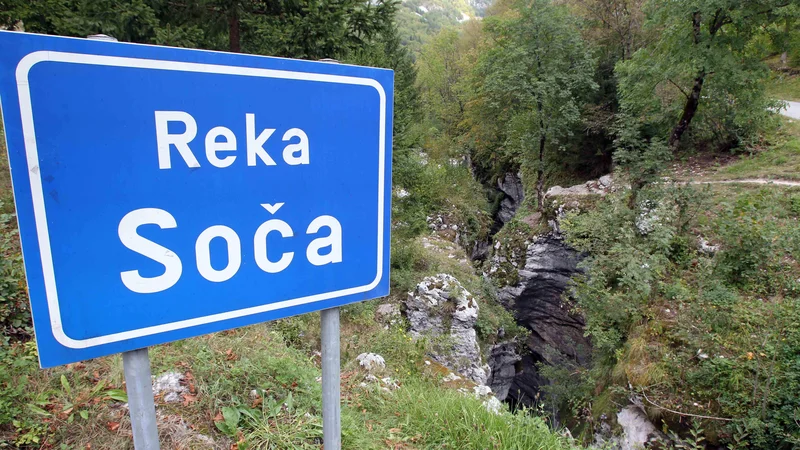 Fotografija: Vzroka za pogin rib ob sotočju Soče in Tolminke še niso odkrili. FOTO: Igor Mali