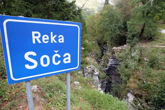 Vzroka za pogin rib ob sotočju Soče in Tolminke še niso odkrili. FOTO: Igor Mali