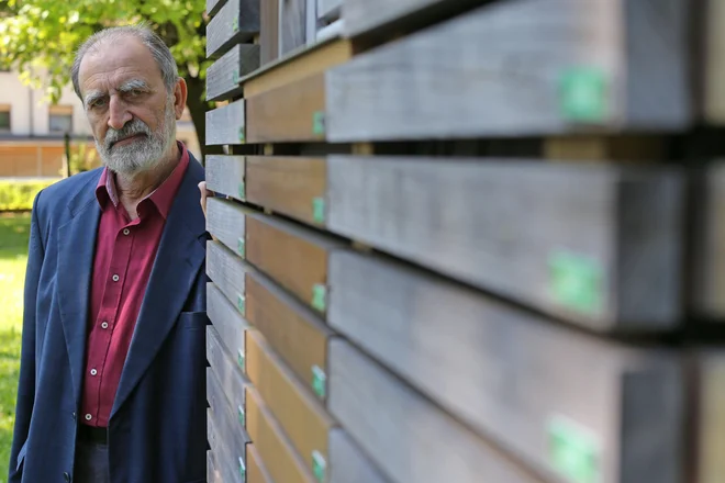 &raquo;Pri nas si kaznovan, če greš v leseno gradnjo, ker je dražja,&laquo; pravi dr. Franc Pohleven.