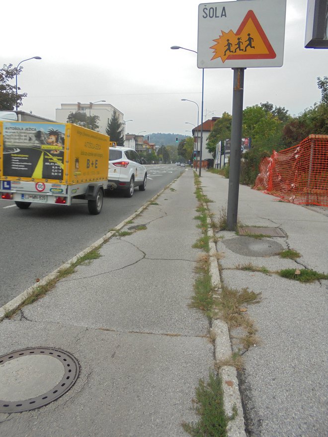 Slabo vzdrževani pločniki in kolesarske steze ob Samovi ulici so v »zelenju«. FOTO: Janez Petkovšek