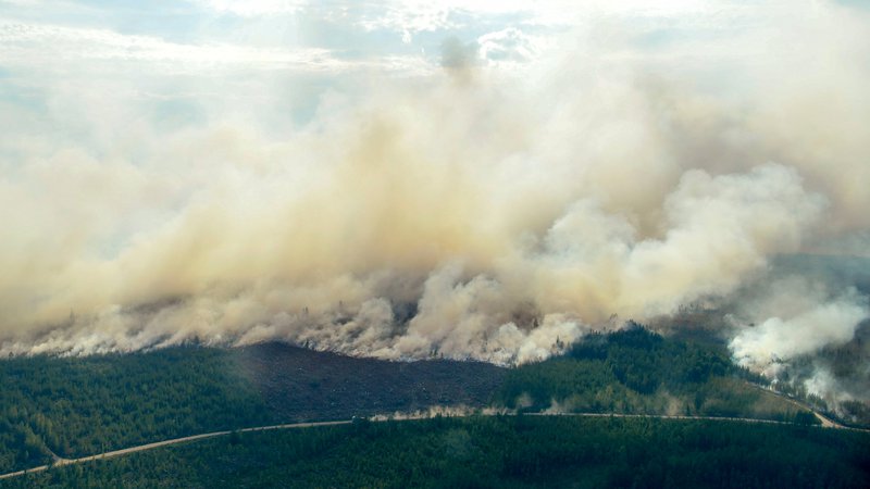 Fotografija: Pogled na požar v okolici Ljusdala. FOTO: Reuters