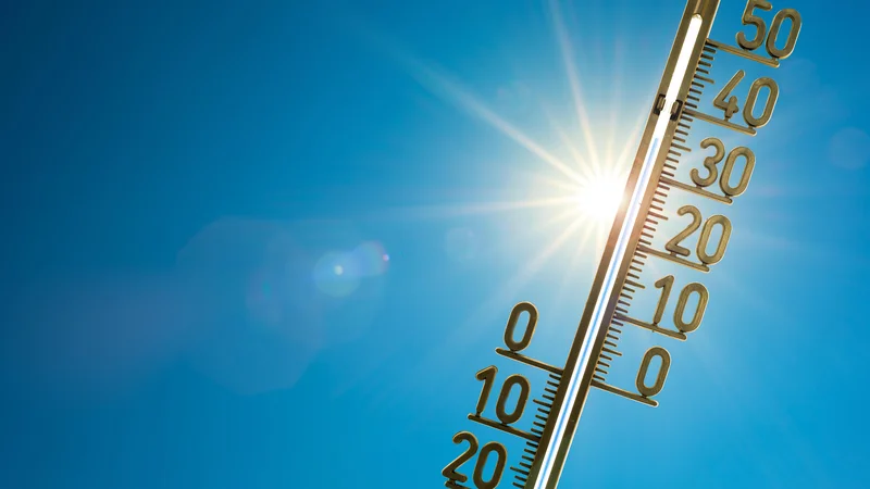 Fotografija: Podnebnih spremembn po prepričanju Lučke Kajfež Bogataj ne moremo več ustaviti. FOTO: Getty Images/Istockphoto