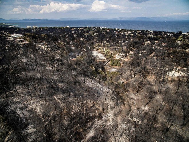 Gozdovi v okolici Mate so povsem požgani. FOTO: AFP