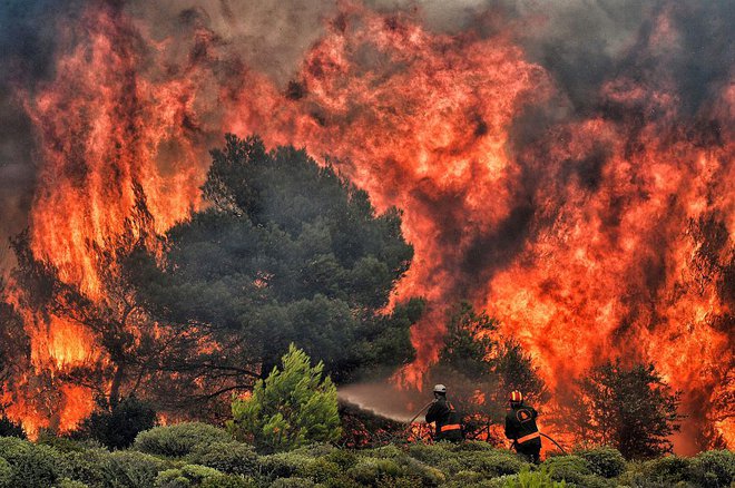 Gasilci se borijo z ognjenimi zublji blizu vasi Kineta. FOTO: AFP