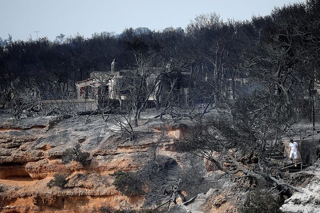 Ogenj je za seboj pustil neverjetno uničenje. FOTO: Reuters