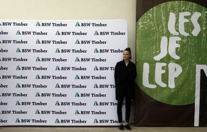 Na Gomilskem so 22. maja predstavili gradnjo nove žage škotskega podjetja BSW Timber. FOTO: Blaž Samec/Delo