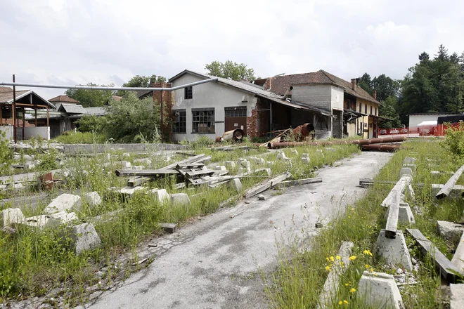 Območje gradnje nove žage škotskega podjetja BSW Timber na Gomilskem. FOTO: Blaž Samec/Delo