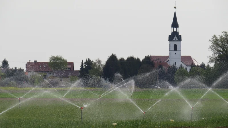 Fotografija: Pri dogovarjanju za javne namakalne sisteme je treba pridobiti soglasje lastnikov vsaj dveh tretjin površin na namakalnem območju, kar je včasih težko doseči. FOTO: Franc Milošič