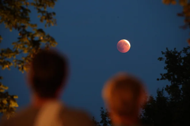 Opazovanje luninega mrka. FOTO: Jure Eržen