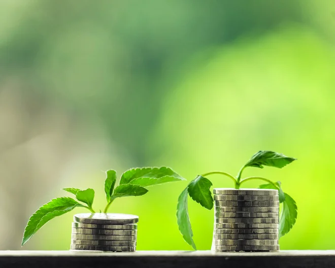 Za varno &raquo;rastoče&laquo; posle je smiselno preveriti, s kom sodelujemo.<br />
FOTO: Shutterstock