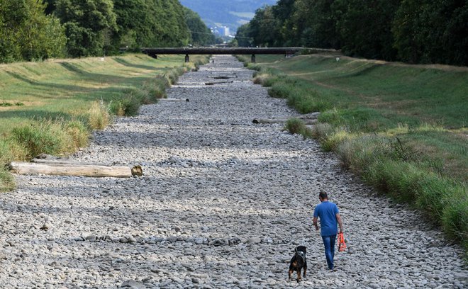 Po Evropi so številne reke izsušene. Prizor je iz Nemčije. FOTO: AFP