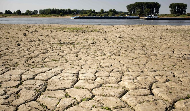 Težave s sušo imajo tudi na Nizozemskem. FOTO: AFP