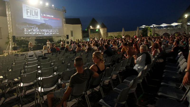 Fotografija: Javni zavod Kinodvor je za letni kino prejel 11 tisočakov. FOTO: Mavric Pivk