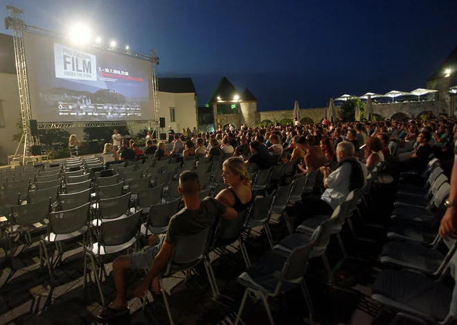 Javni zavod Kinodvor je za letni kino prejel 11 tisočakov. FOTO: Mavric Pivk