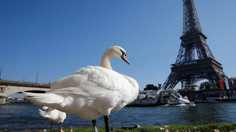 Fotografija: Eifflov stolp je ponovno odprt. FOTO: Reuters