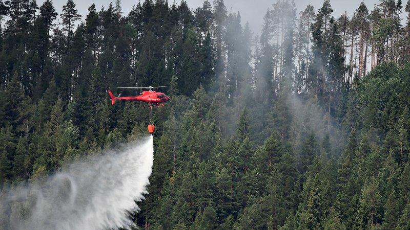 Fotografija: Pri gašenju najobsežnejših požarov v švedski zgodovini je bilo mobiliziranih več kot 360 gasilcev, sedem letal, šest helikopterjev in 67 vozil. FOTO: Reuters