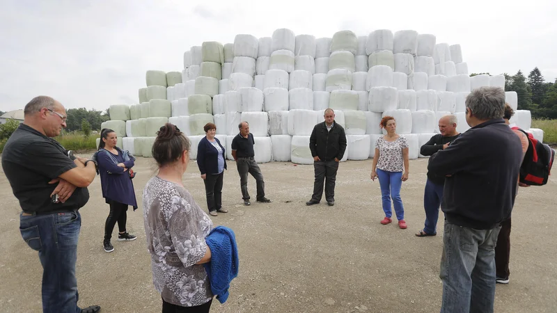 Fotografija: Bale stisnjene odpadne plastike, zavite v plastično folijo, je Publikus navozil v Študo konec maja, do zdaj pa jih še ni odpeljal kljub inšpekcijski odločbi. FOTO: Leon Vidic