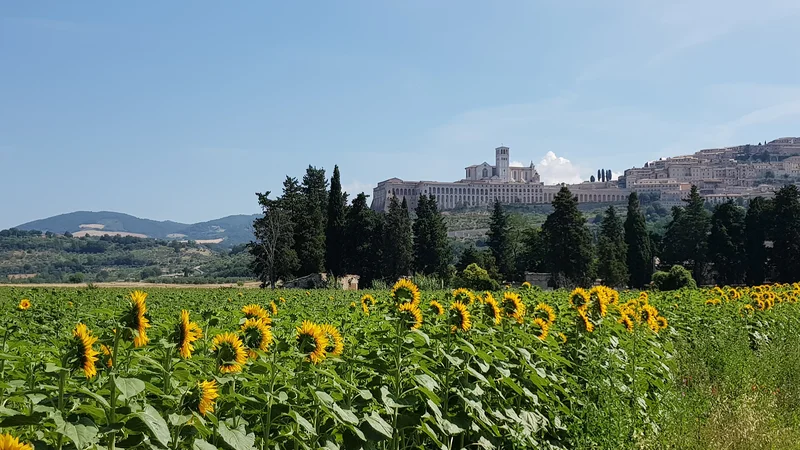 Fotografija: Assisi je pomembno romarsko središče. FOTO: Jure Predanič