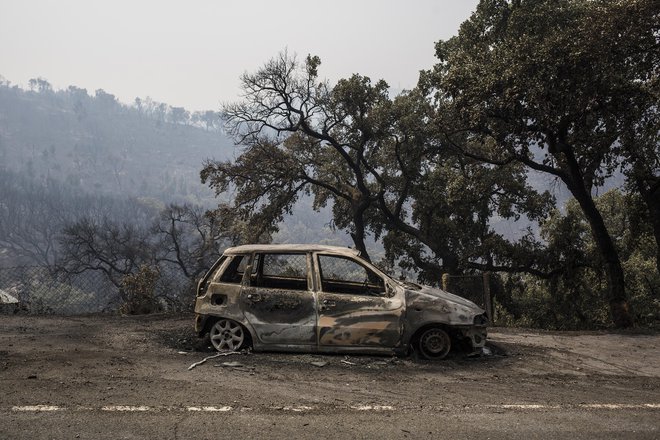 Požara na težko dostopnem terenu jim ob močnem vetru in visokih temperaturah še vedno ni uspelo spraviti pod nadzor. FOTO: AP