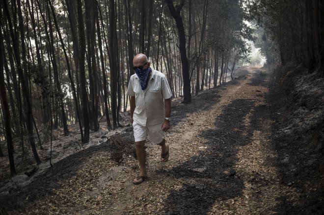 Ognjeni zublji na goratem območju okoli mesteca Monchique so doslej po ocenah strokovnjakov uničili več kot 16.500 hektarjev gozda. FOTO: AP