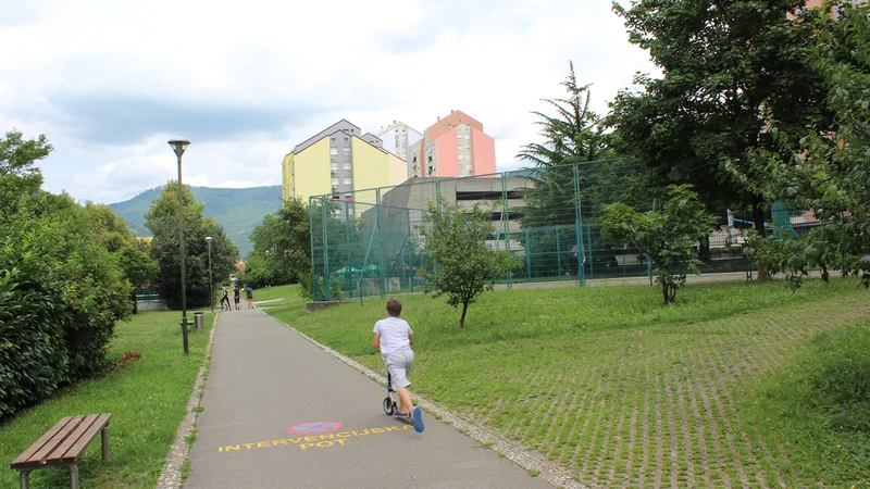 Fotografija: Soseska v Cankarjevi ulici stoji že 50 let. Foto Blaž Močnik