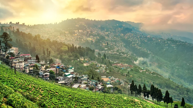 Fotografija: Darjeeling Foto Shutterstock