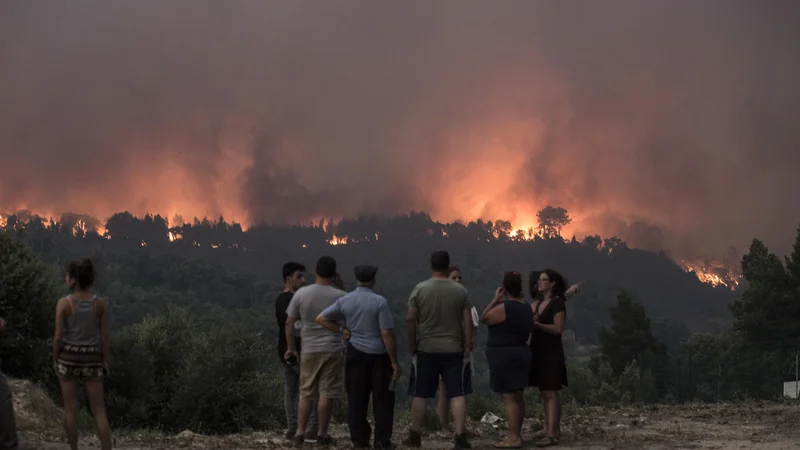 Fotografija: Požar je v šestih dnevih uničil že več kot 21.300 hektarjev površin. FOTO: AP